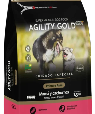 AGILITY GOLD PRIMERA FASE