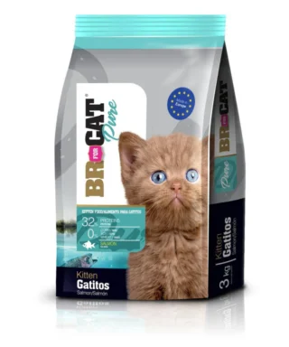 BR GATITO SALMON 1 KG