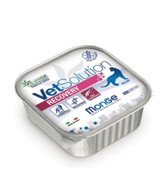VET SOLUTION RECOVERY FELINO 100 G
