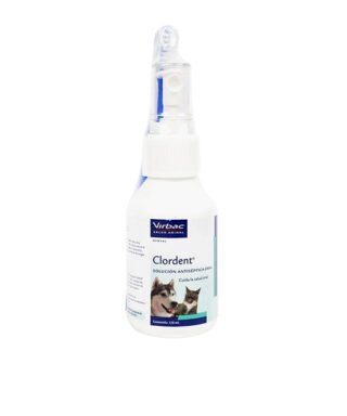 CLORDENT 120 ML