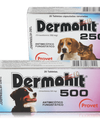 DERMOHIT X 10 TABLETAS