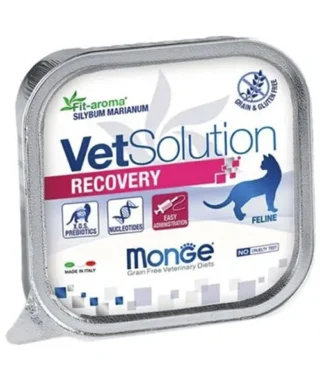 VET SOLUTION RECOVERY FELINO 100GR