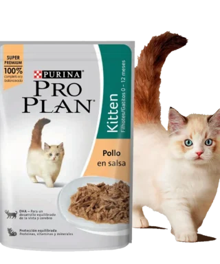 PRO PLAN FELINO WET KITTEN - POLLO X 85 GR