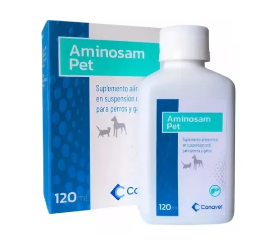 AMINOSAM X 60 ML